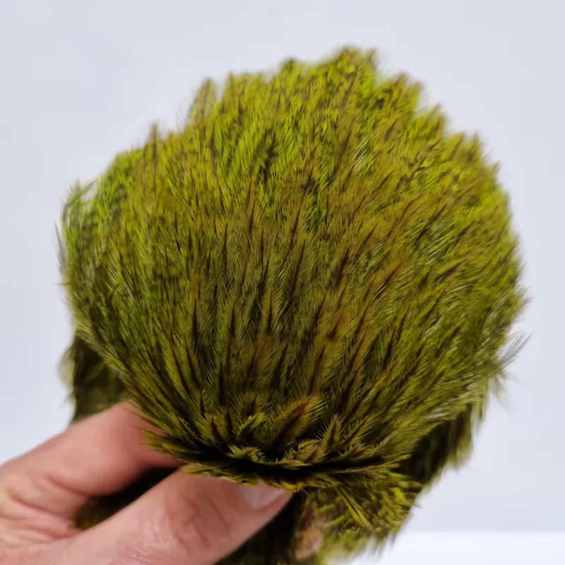 Whiting Coq de Leon Hen Cape in Speckled Fl.Green Chartreuse-8